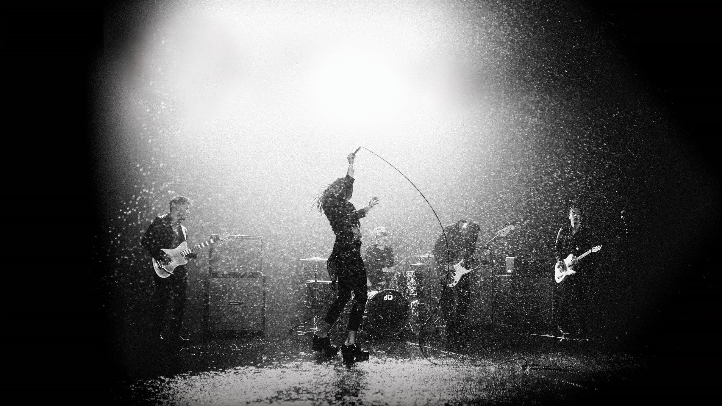 Marmozets