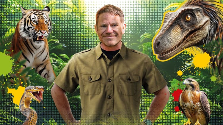 STEVE BACKSHALL'S DEADLY LIVE