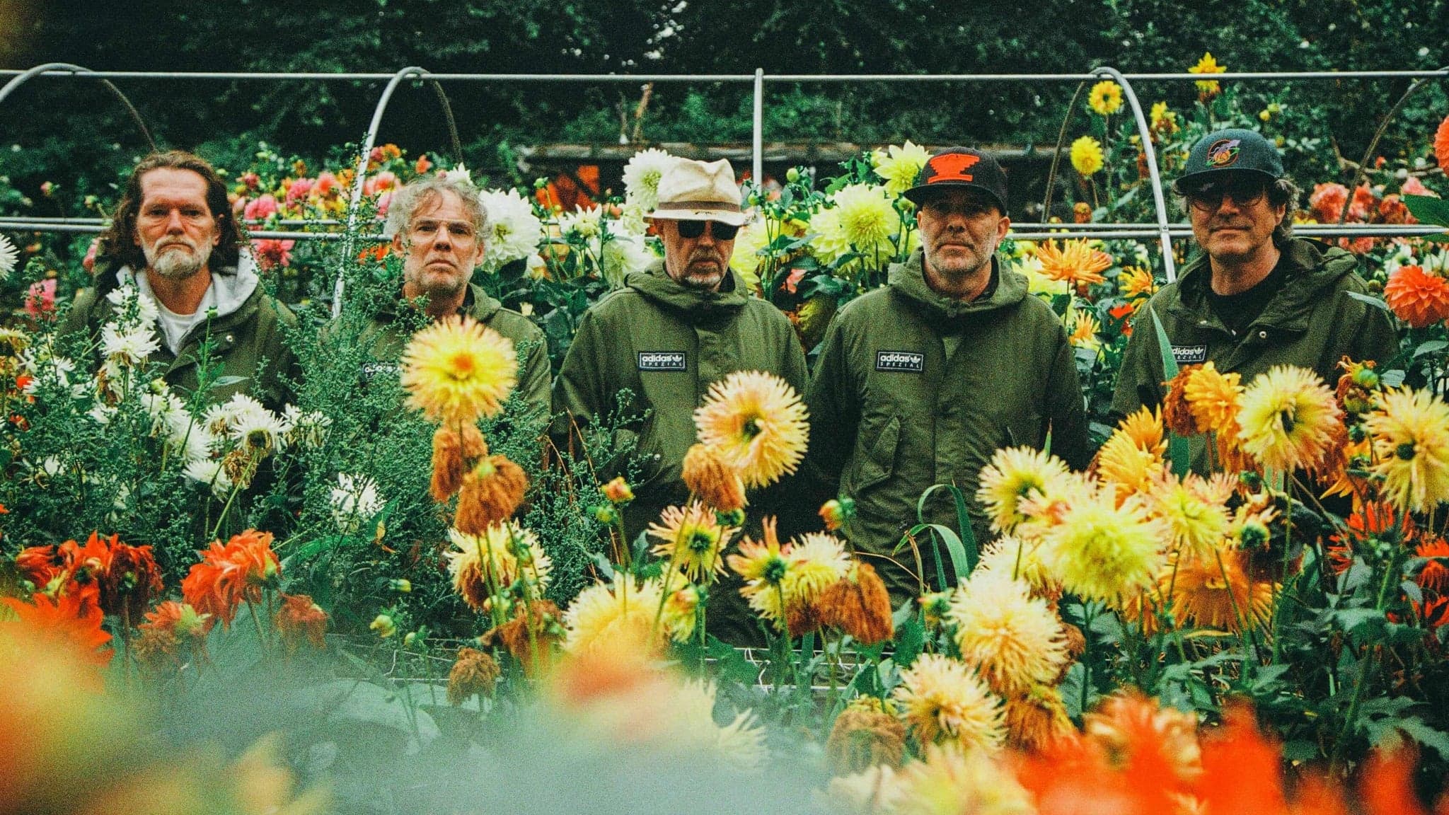 Bristol Sounds: Super Furry Animals